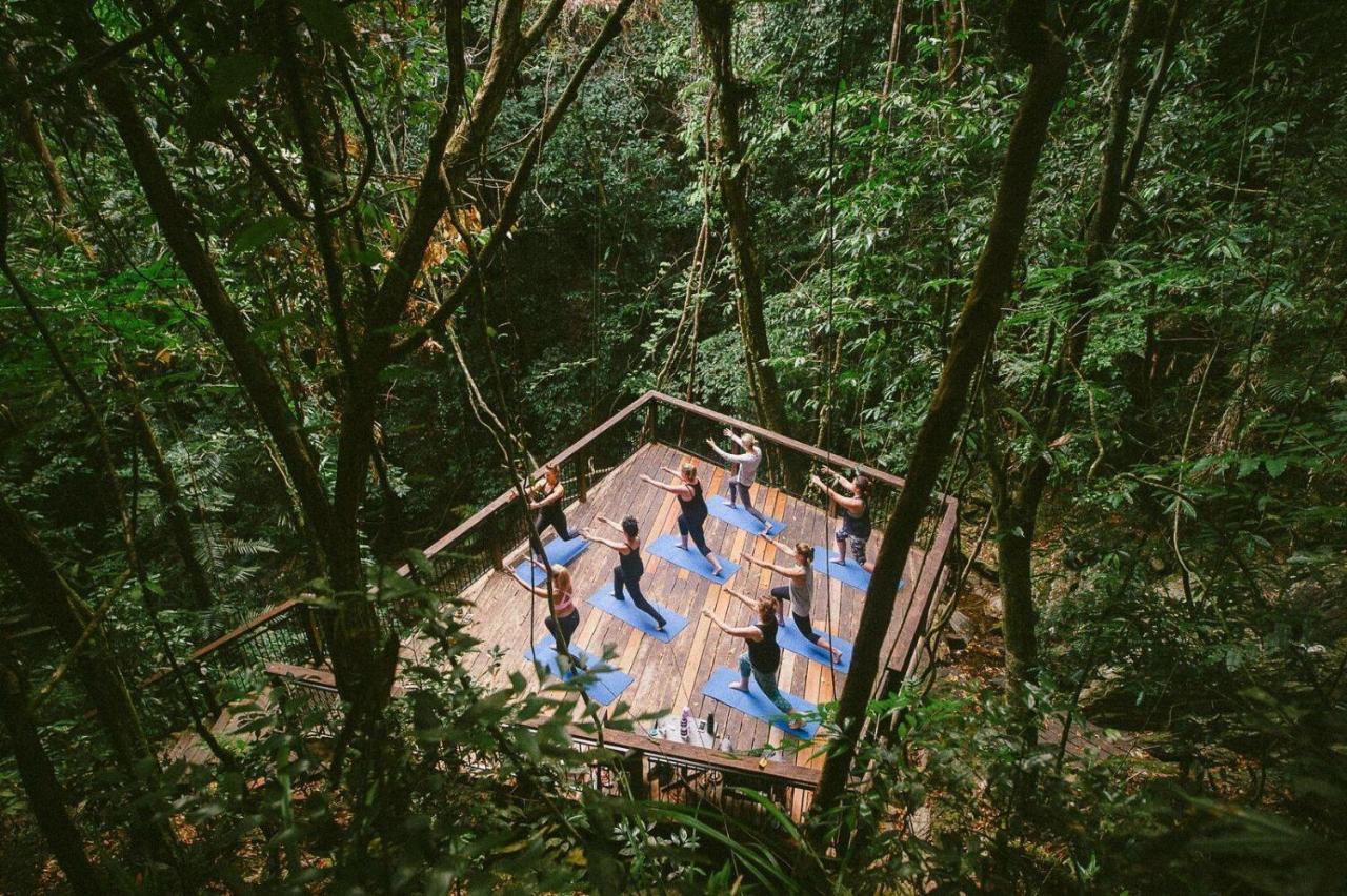 Daintree Ecolodge Ngoại thất bức ảnh