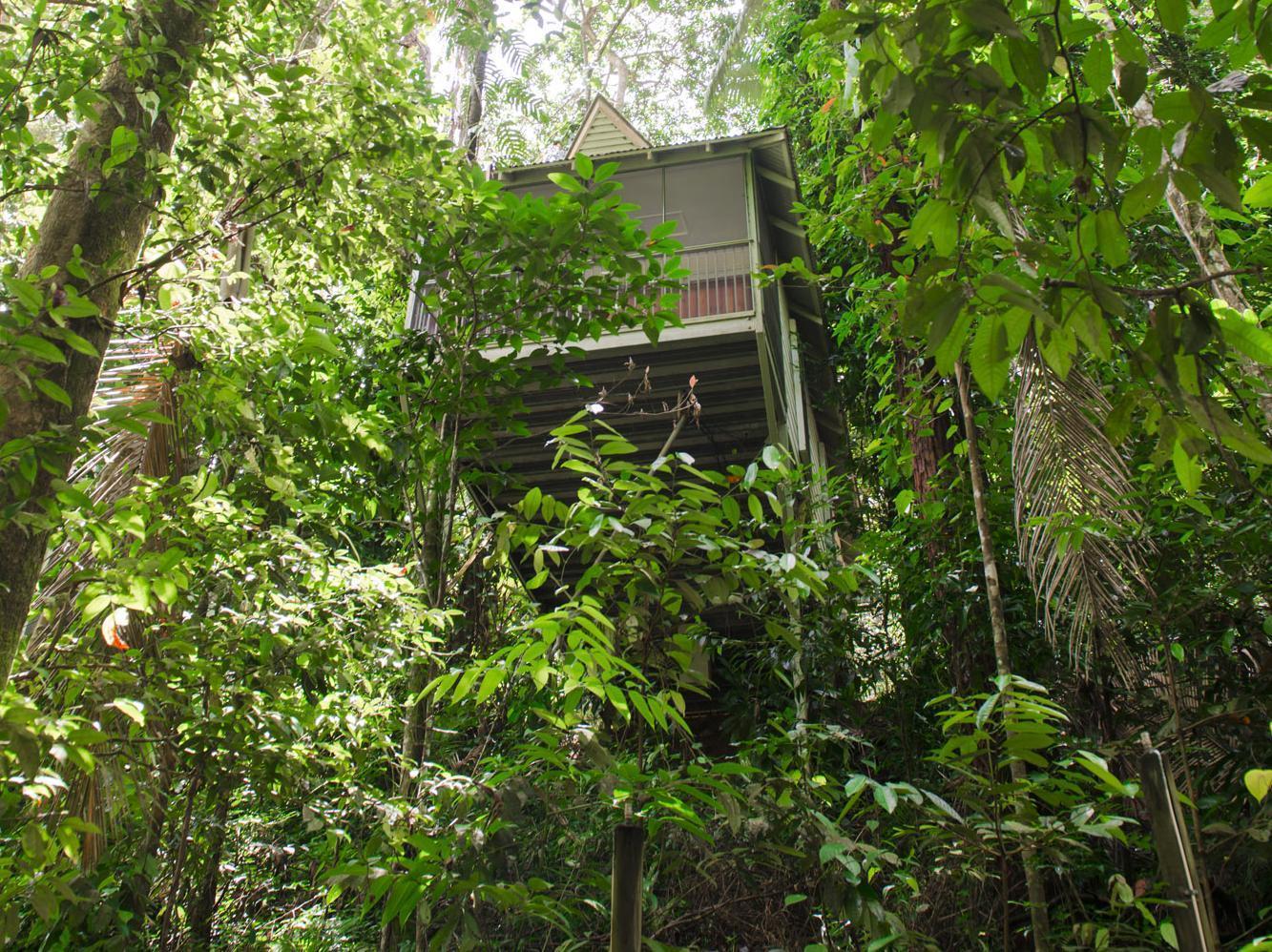Daintree Ecolodge Ngoại thất bức ảnh