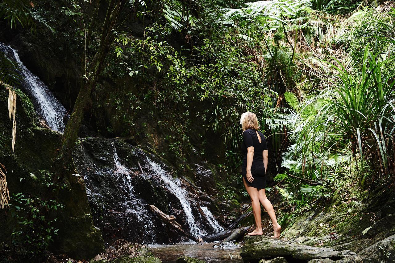 Daintree Ecolodge Ngoại thất bức ảnh