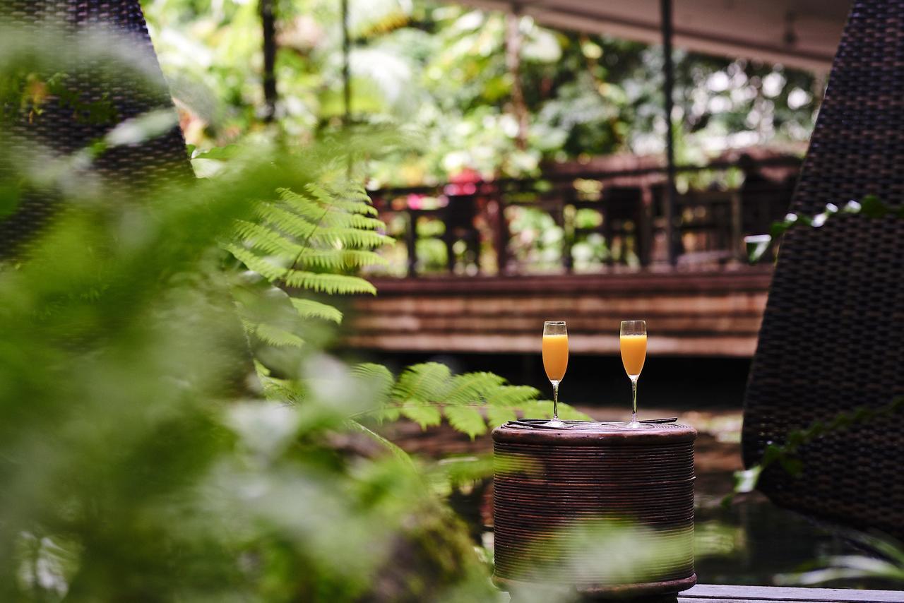 Daintree Ecolodge Ngoại thất bức ảnh