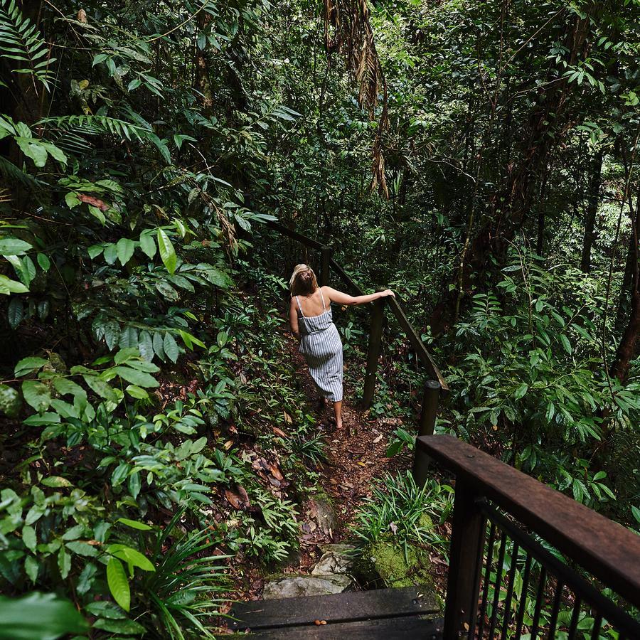 Daintree Ecolodge Ngoại thất bức ảnh
