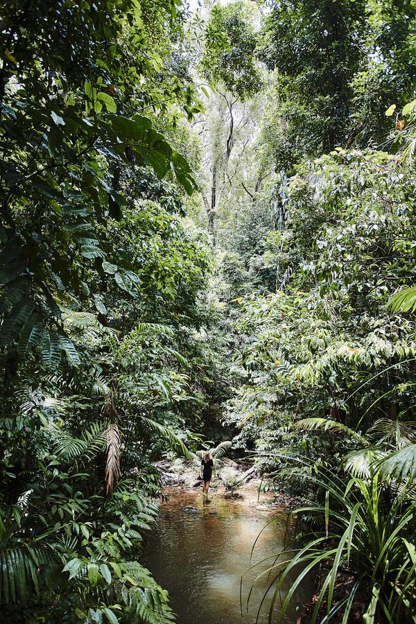 Daintree Ecolodge Ngoại thất bức ảnh
