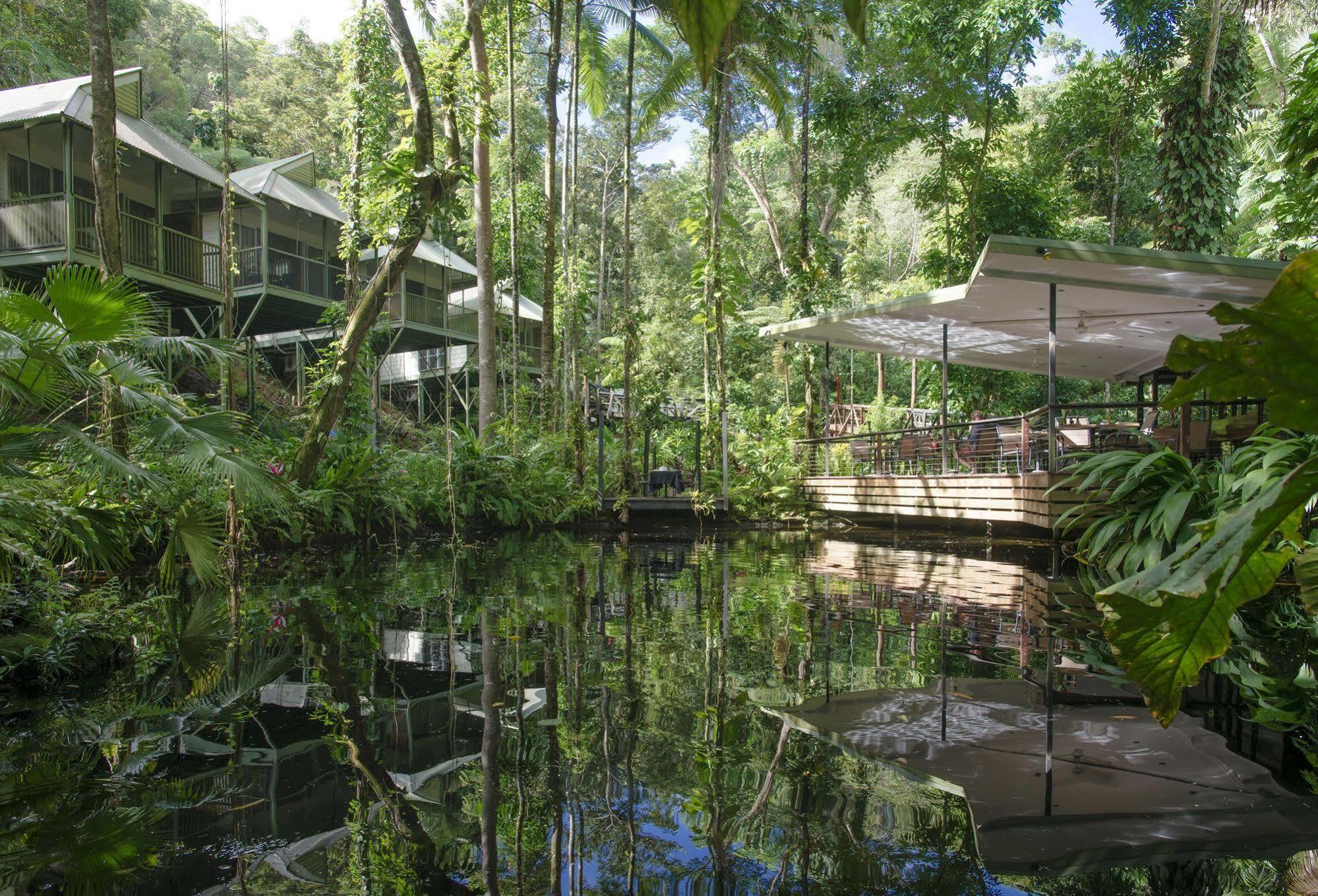 Daintree Ecolodge Ngoại thất bức ảnh