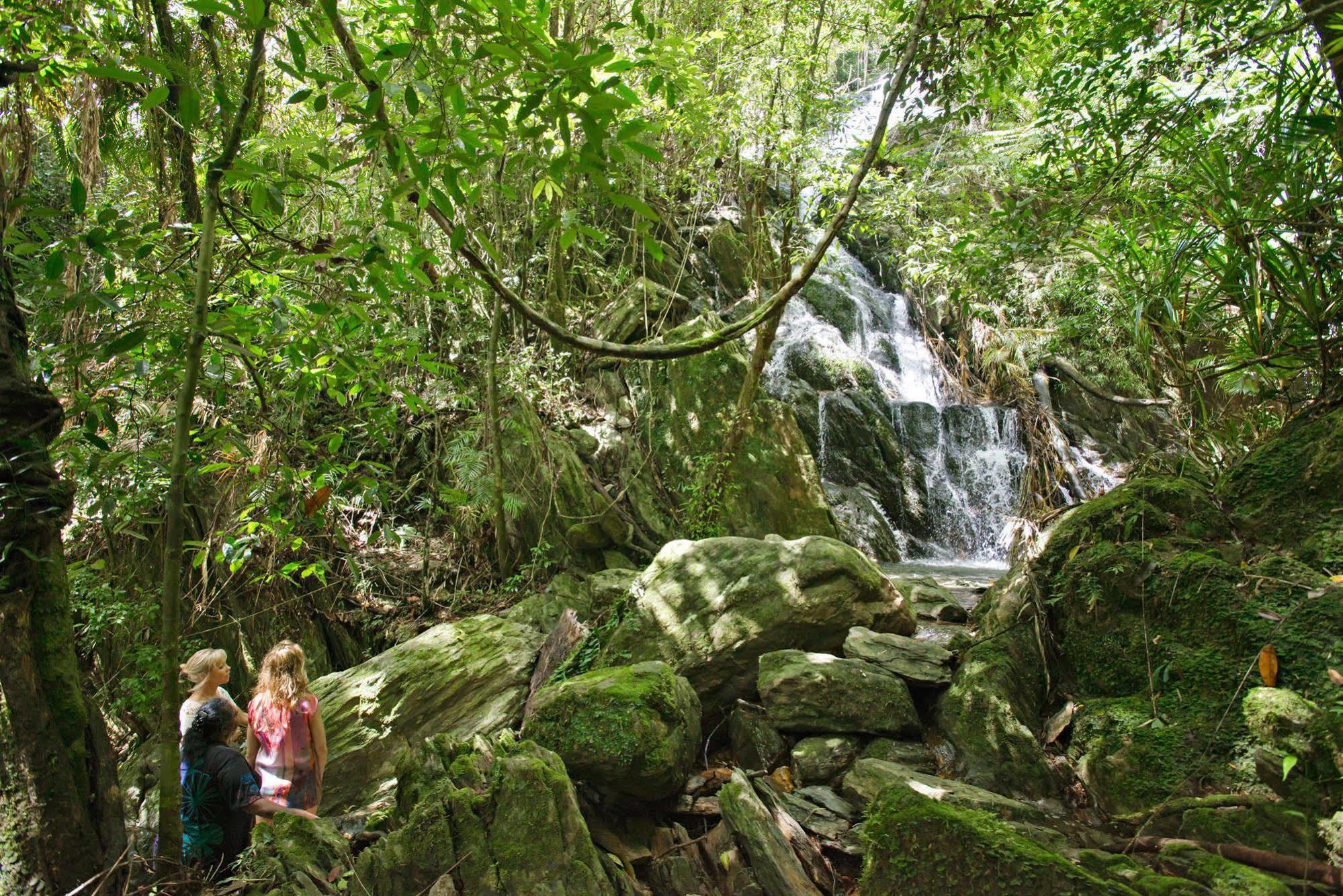 Daintree Ecolodge Ngoại thất bức ảnh