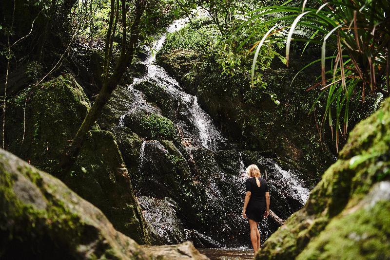 Daintree Ecolodge Ngoại thất bức ảnh
