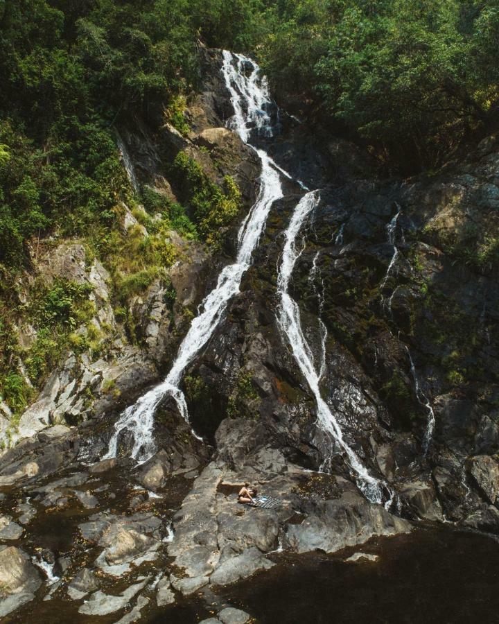 Daintree Ecolodge Ngoại thất bức ảnh