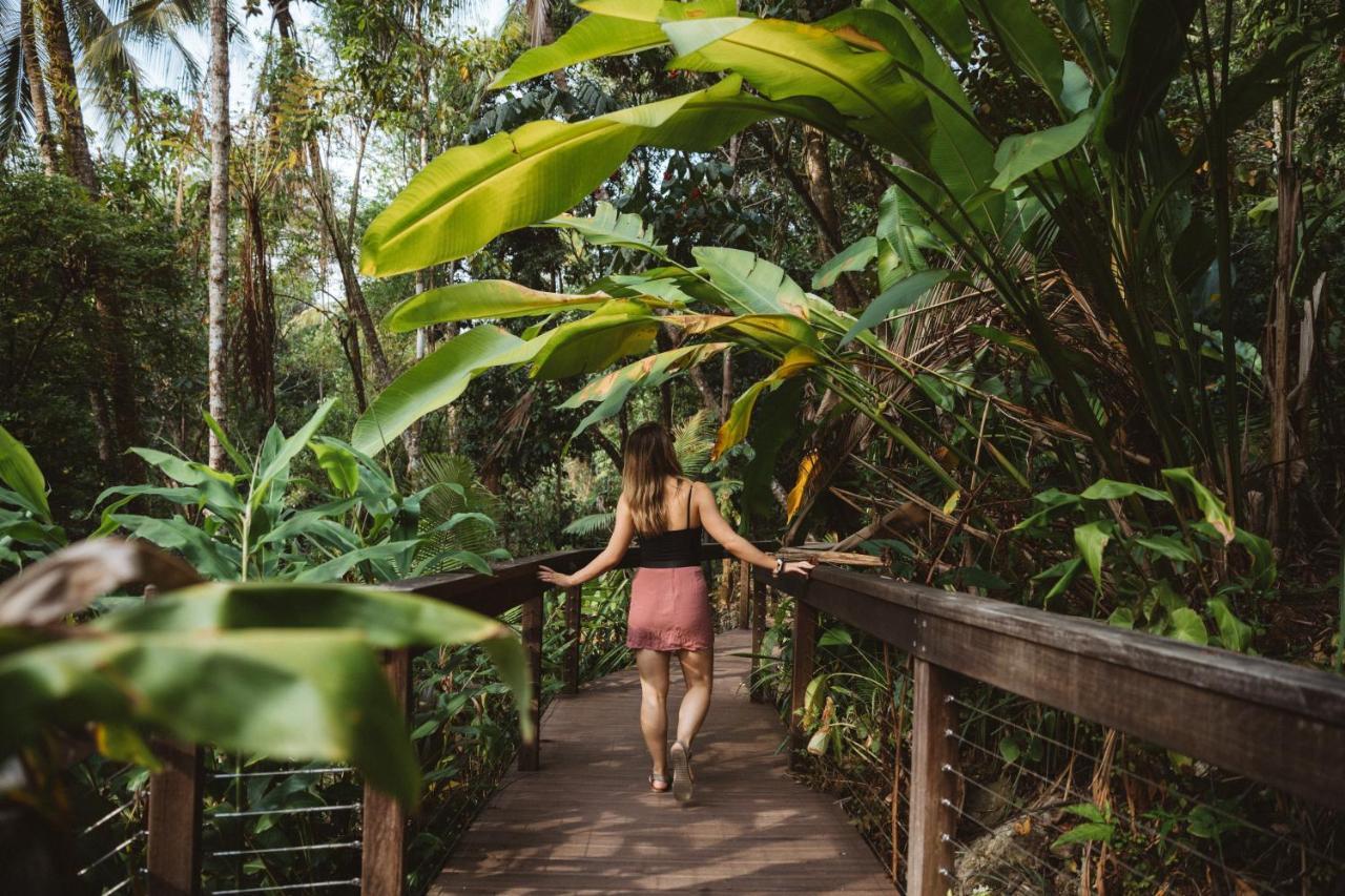 Daintree Ecolodge Ngoại thất bức ảnh