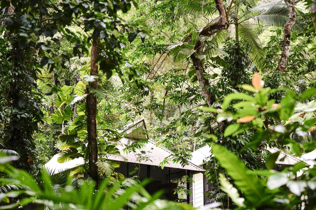 Daintree Ecolodge Ngoại thất bức ảnh