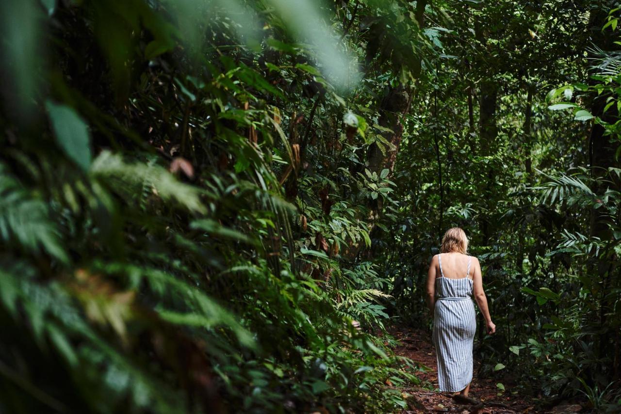 Daintree Ecolodge Ngoại thất bức ảnh